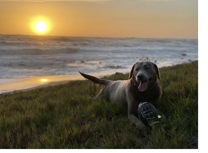 Cogua at sunset. The point of measuring biological age is knowing which decisions matter next.